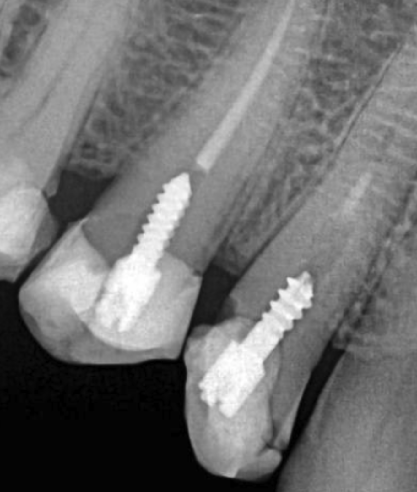 Captura de pantalla 2026-02-17 a las 14.18.14